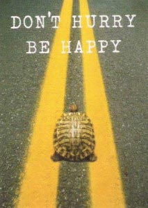 Tortoise-Dont-Hurry-Be-Happy